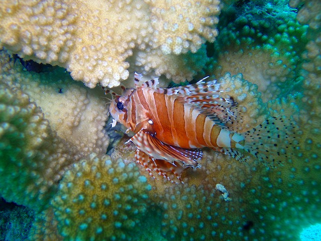 20150615181849.jpg 20150615181849.jpg