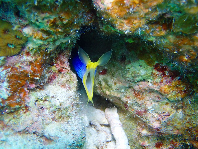 20150615181850.jpg 20150615181850.jpg