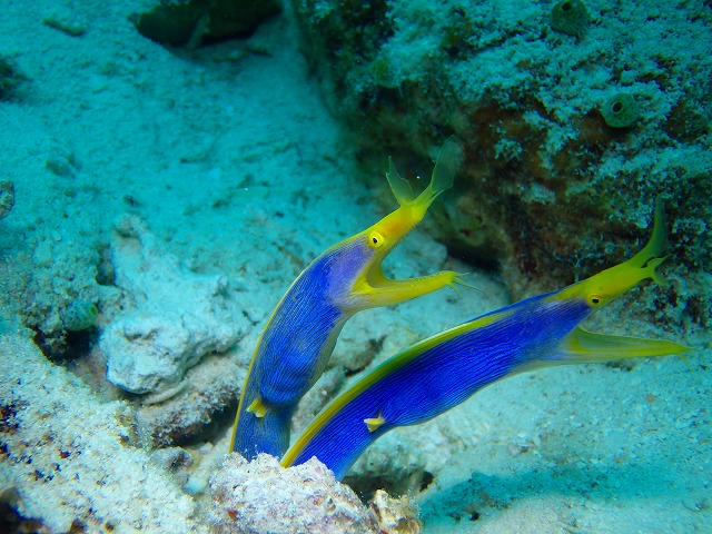 20150615181852.jpg 20150615181852.jpg