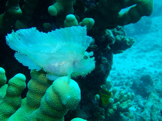 20150615181853.jpg 20150615181853.jpg