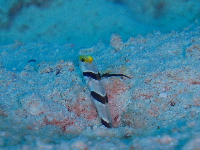 20150615182015.jpg 20150615182015.jpg