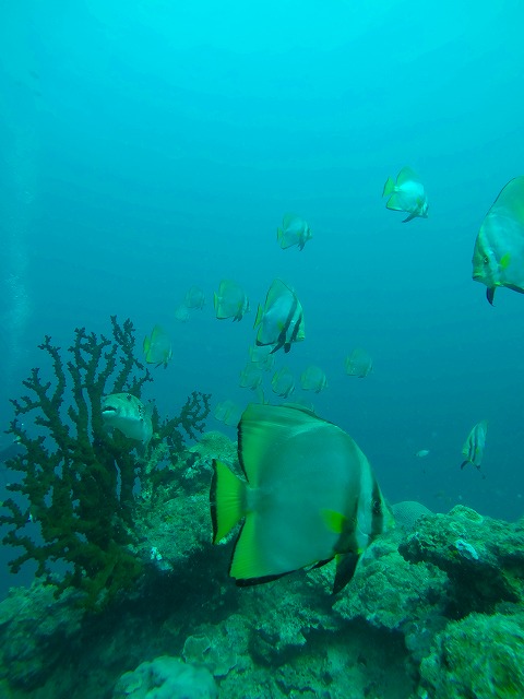 20150616172222.jpg 20150616172222.jpg