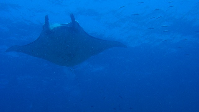 20150616172224.jpg 20150616172224.jpg