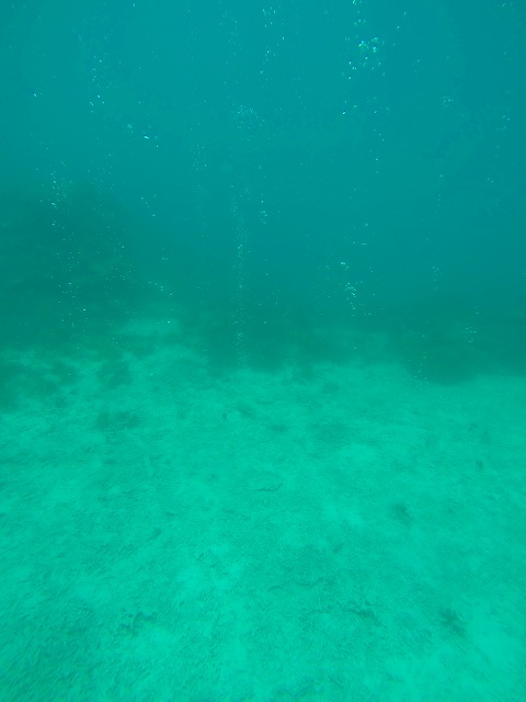 20150616172713.jpg 20150616172713.jpg