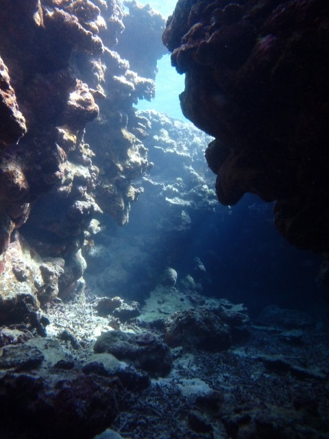 20150618155646.jpg 20150618155646.jpg