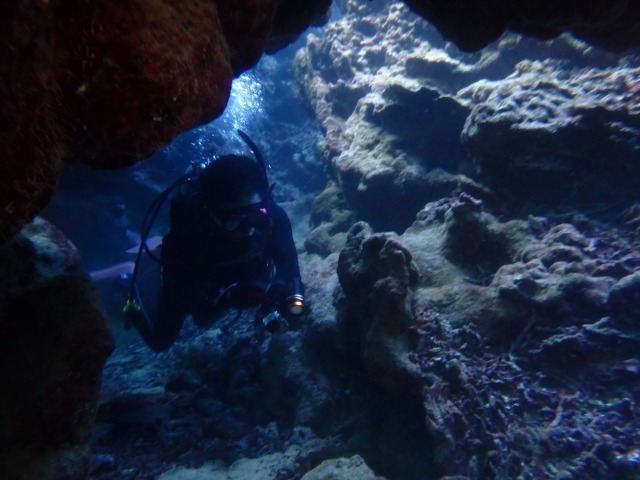 20150618155647.jpg 20150618155647.jpg