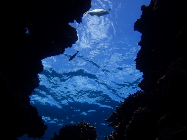 20150618155648.jpg 20150618155648.jpg