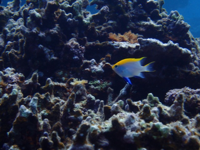 20150618155649.jpg 20150618155649.jpg