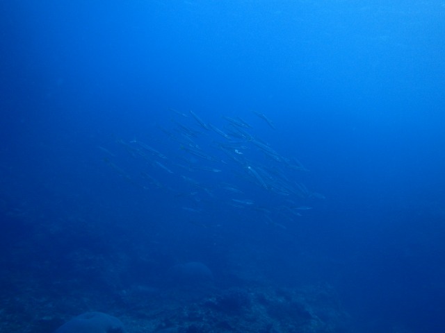 20150618155650.jpg 20150618155650.jpg