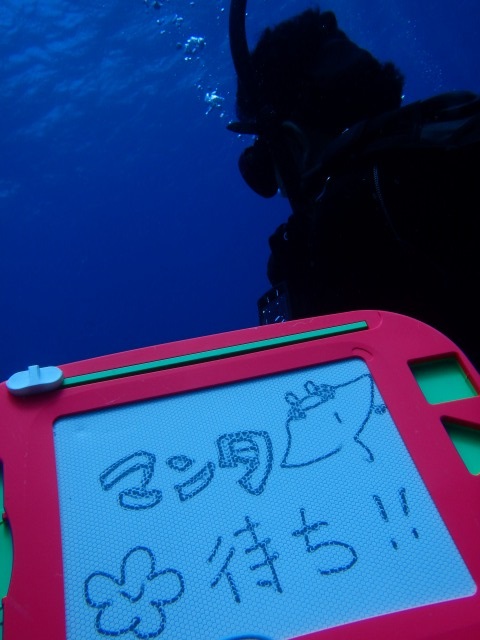 20150618155651.jpg 20150618155651.jpg