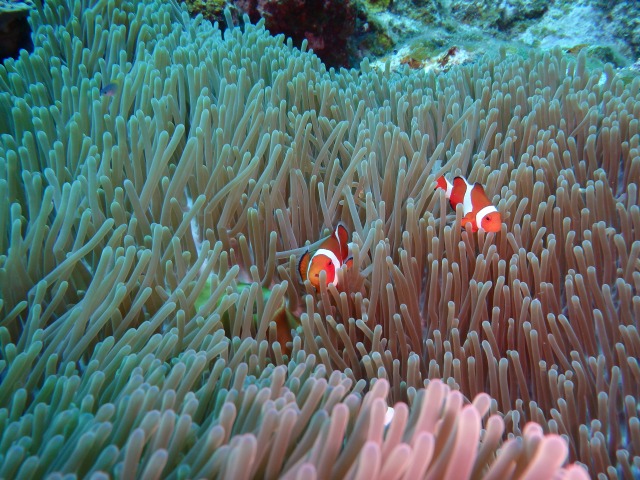 20150618155652.jpg 20150618155652.jpg