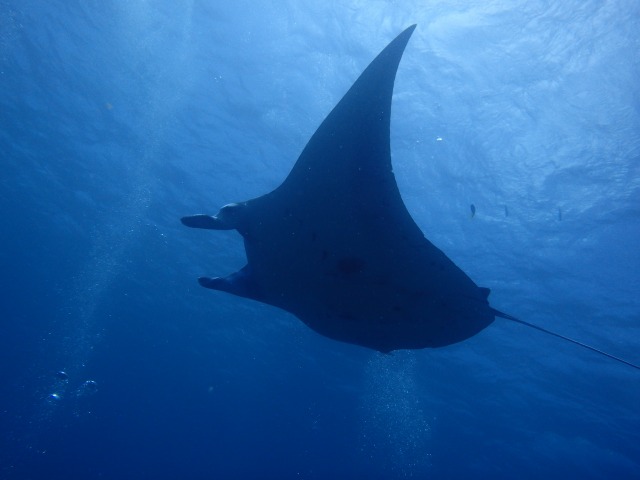 20150618155653.jpg 20150618155653.jpg