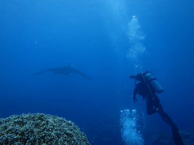 20150618155654.jpg 20150618155654.jpg