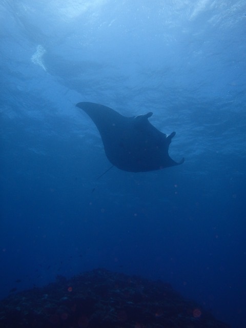 20150618155656.jpg 20150618155656.jpg