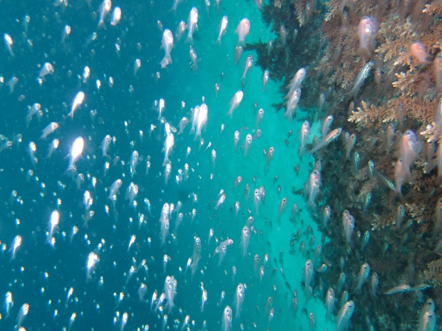 20150619170527.jpg 20150619170527.jpg