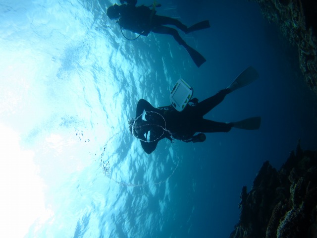 20150619170529.jpg 20150619170529.jpg