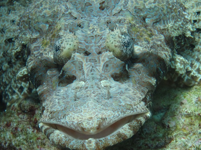 20150619170531.jpg 20150619170531.jpg