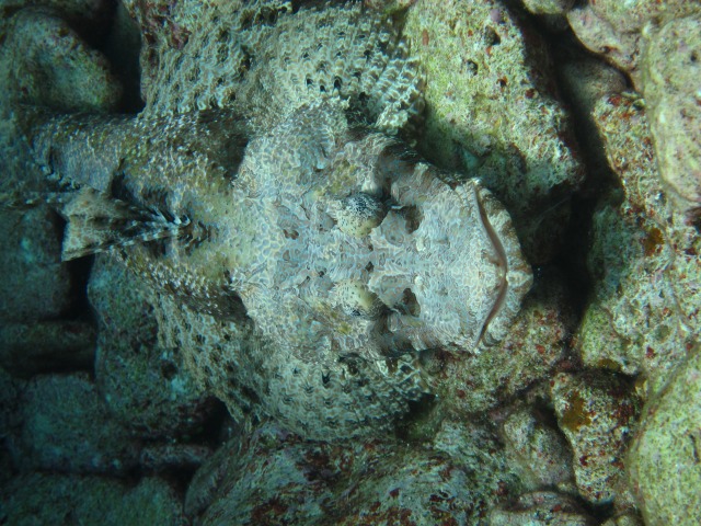 20150619170532.jpg 20150619170532.jpg