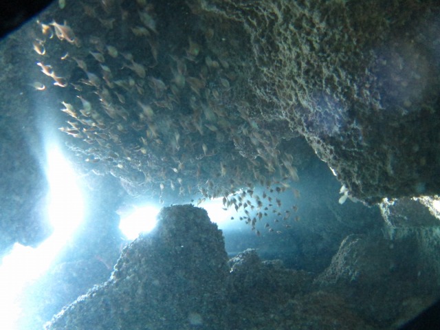 20150619170533.jpg 20150619170533.jpg