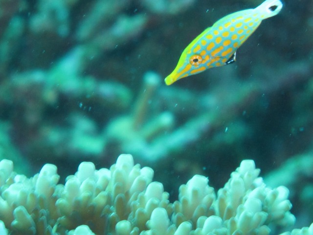 20150619170535.jpg 20150619170535.jpg