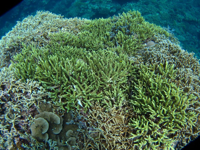 20150619170536.jpg 20150619170536.jpg