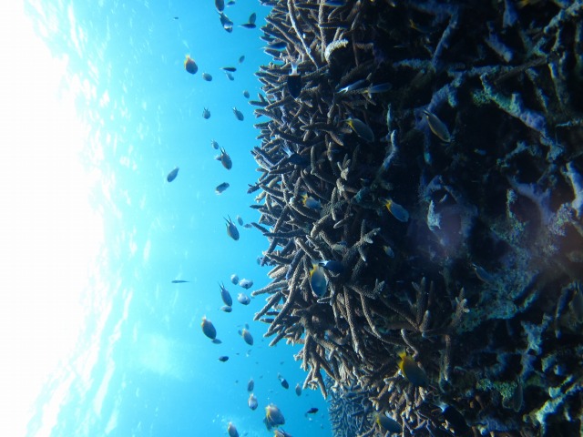 20150619170537.jpg 20150619170537.jpg