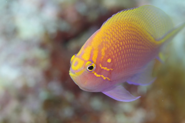 20150621173145.jpg 20150621173145.jpg