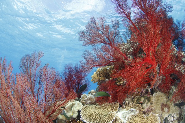 20150621173149.jpg 20150621173149.jpg