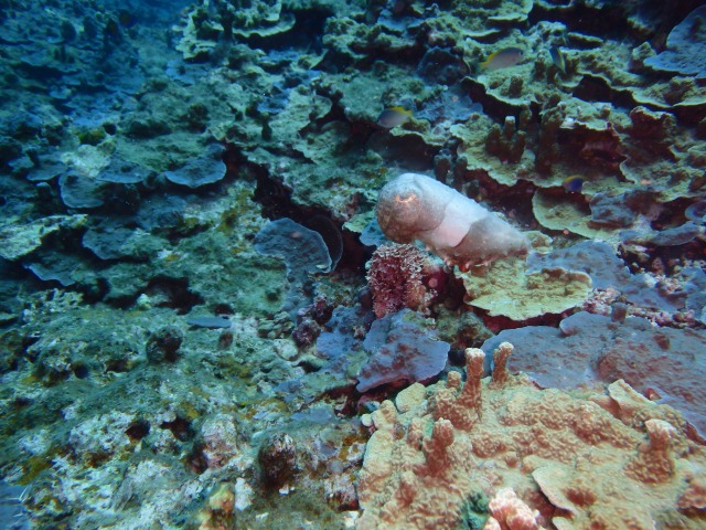 20150622174115.jpg 20150622174115.jpg