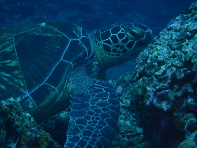 20150622174116.jpg 20150622174116.jpg