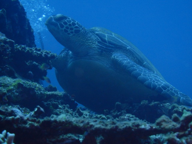 20150622174117.jpg 20150622174117.jpg