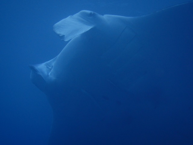 20150622174120.jpg 20150622174120.jpg