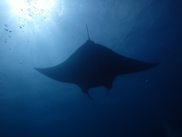 20150622174121.jpg 20150622174121.jpg