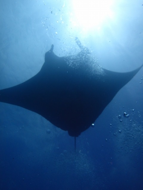 20150622174122.jpg 20150622174122.jpg