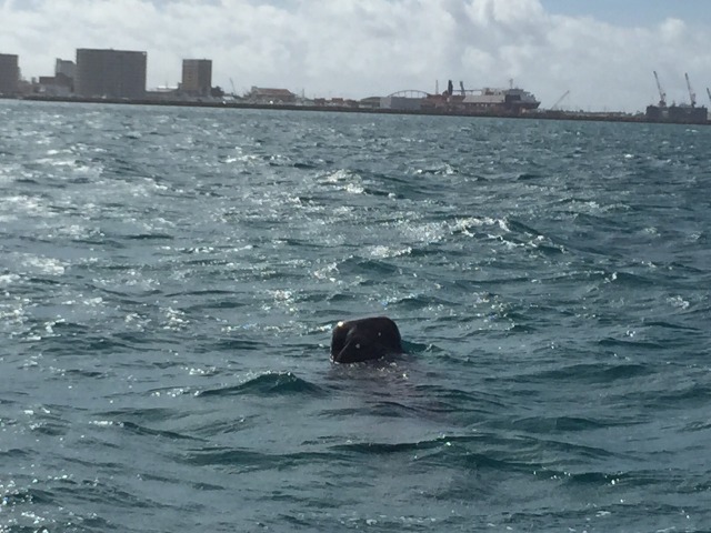 20150623172947.jpg 20150623172947.jpg