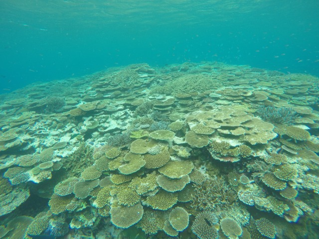 20150623181314.jpg 20150623181314.jpg