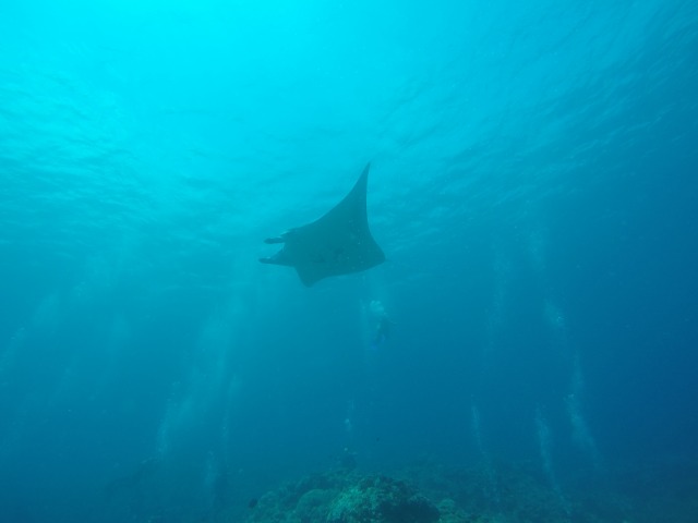 20150624164831.jpg 20150624164831.jpg