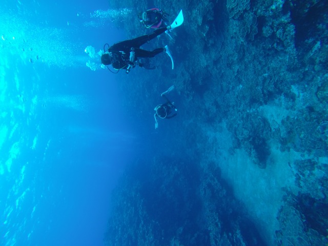 20150625210042.jpg 20150625210042.jpg