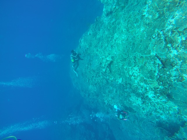 20150625210043.jpg 20150625210043.jpg