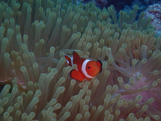 20150816173229.jpg 20150816173229.jpg