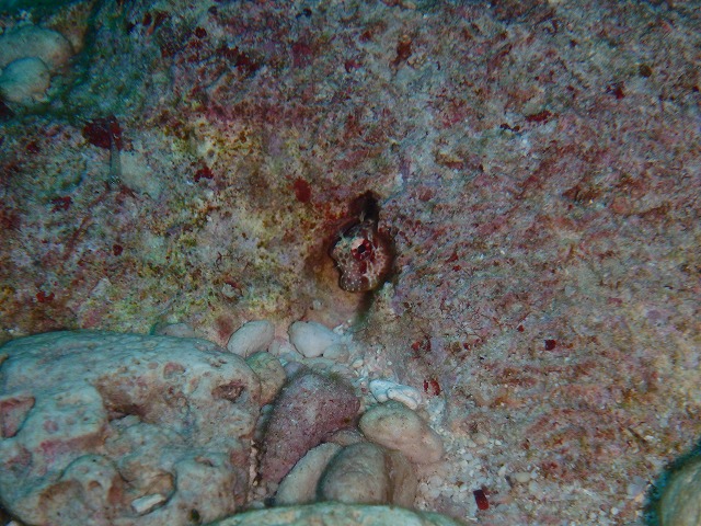 20150816173230.jpg 20150816173230.jpg