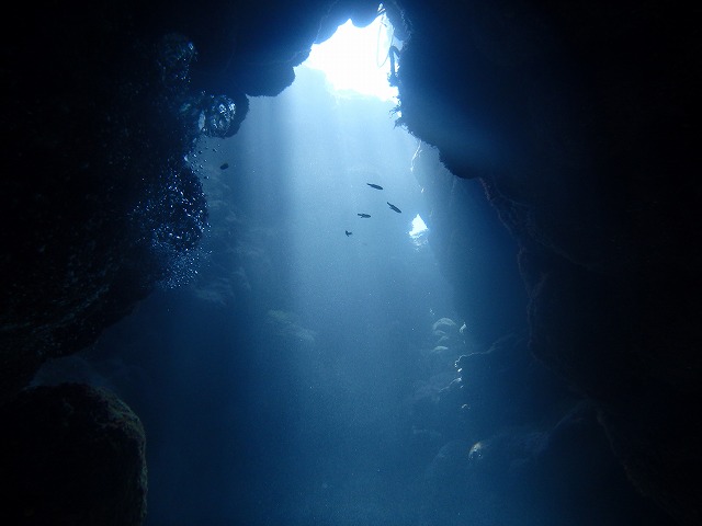 20150816173232.jpg 20150816173232.jpg