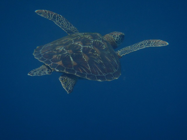 20150816173234.jpg 20150816173234.jpg