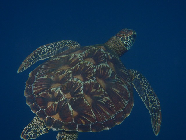 20150816173235.jpg 20150816173235.jpg