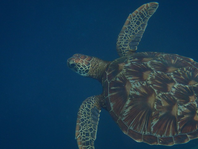 20150816173236.jpg 20150816173236.jpg