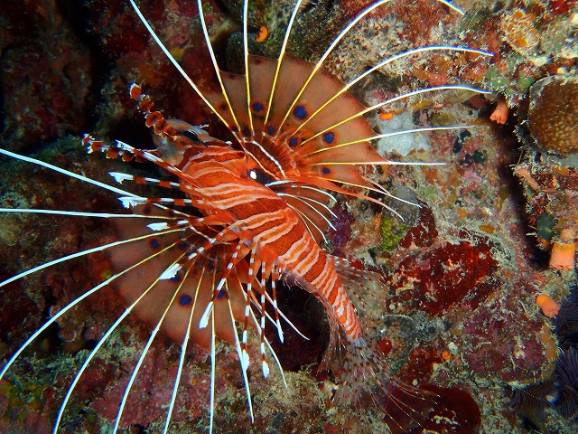 20150819180926.jpg 20150819180926.jpg