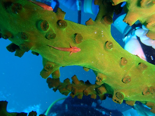 20150819180928.jpg 20150819180928.jpg