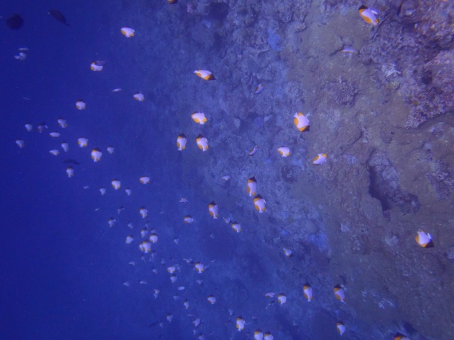 20150819180929.jpg 20150819180929.jpg