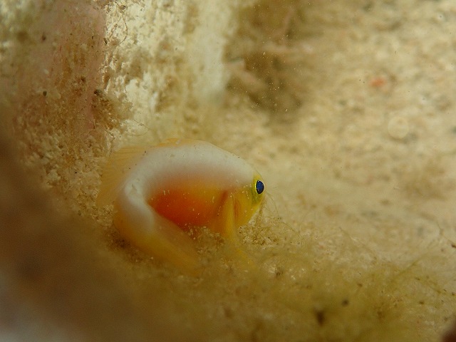 20151012165341.jpg 20151012165341.jpg