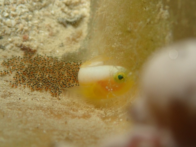 20151012165342.jpg 20151012165342.jpg